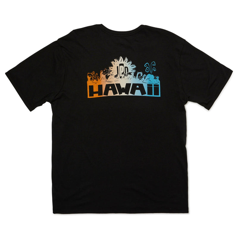 HAWAII IPD TEE