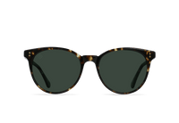 NORIE-Brindle Tortoise / Green Polarized