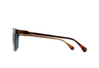 WILEY-Cirus / Vibrant Brown Polarized